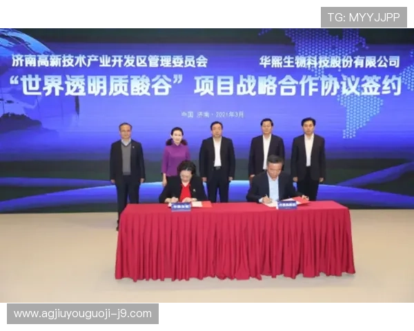 深入了解k8集团官网的企业背景、发展历程及未来战略规划，打造专业认知