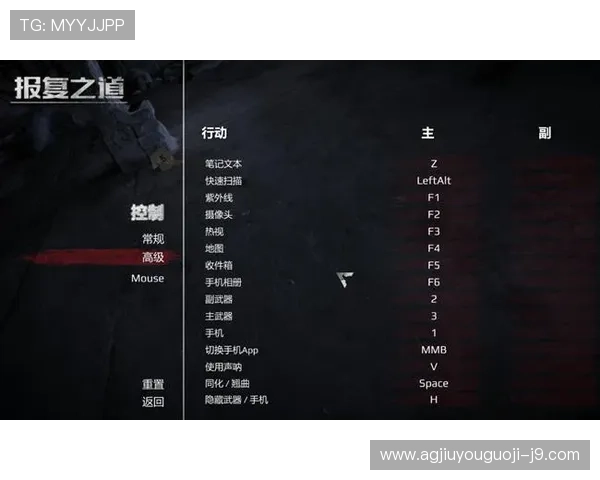 9游会登录线路稳定性提升指南帮助玩家顺畅体验游戏不再卡顿