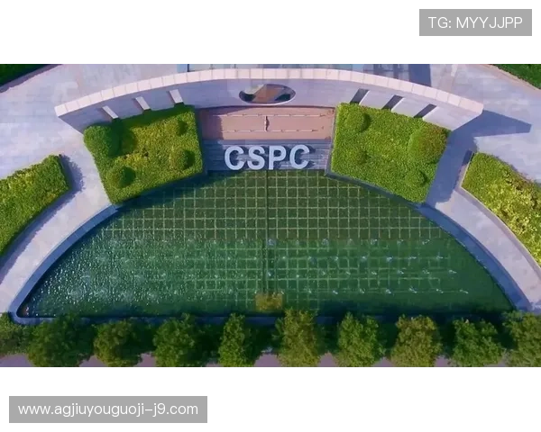 尊龙集团在社会责任方面的积极作为与公益项目